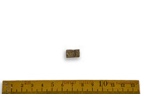F 00140
<br/>
<br/>
<em></em>